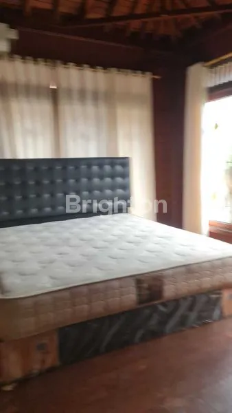 image DISEWAKAN RUMAH BERGAYA VILA DI PANJER, LINGKUNGAN TENANG (6)