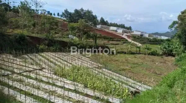 image TANAH SAWAH BANJARAN SIAP DIOLAH SUBUR DEKAT PASAR ARJASARI (1)