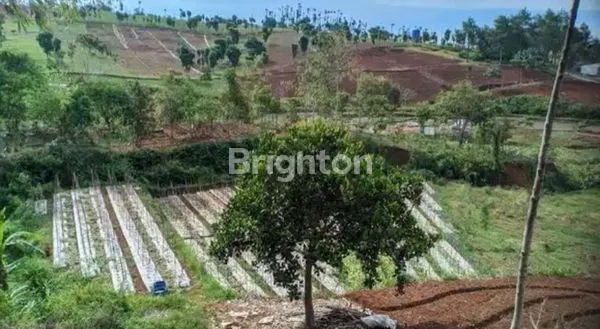 image TANAH SAWAH BANJARAN SIAP DIOLAH SUBUR DEKAT PASAR ARJASARI (3)
