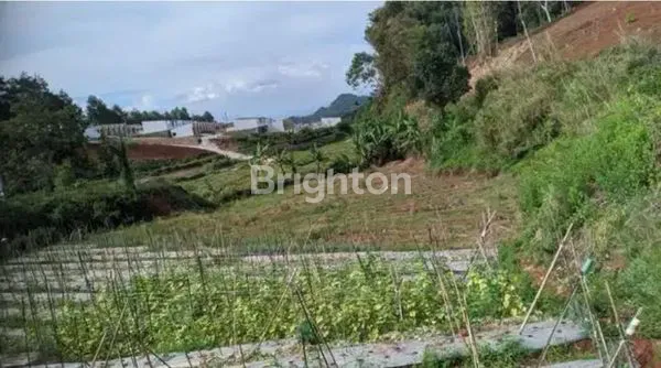 image TANAH SAWAH BANJARAN SIAP DIOLAH SUBUR DEKAT PASAR ARJASARI (5)