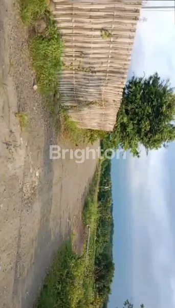 image TANAH STRATEGIS , INVESTASI  MASA DEPAN DI SITUBONDO  JATIM.  (5)