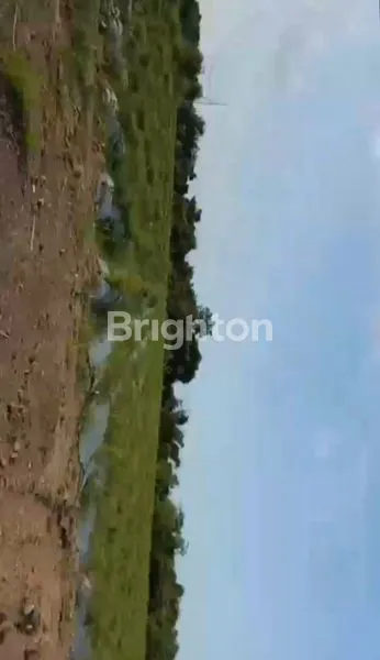 image TANAH STRATEGIS , INVESTASI  MASA DEPAN DI SITUBONDO  JATIM.  (4)