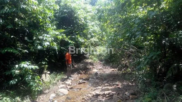 image LAHAN STRATEGIS 50HA DI AEK NATAS, HARGA MENARIK! (5)