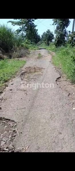 image TANAH COCOK UNTUK PETERNAKAN ATAU PERKEBUNAN DAERAH TRAWAS MOJOKERTO (2)