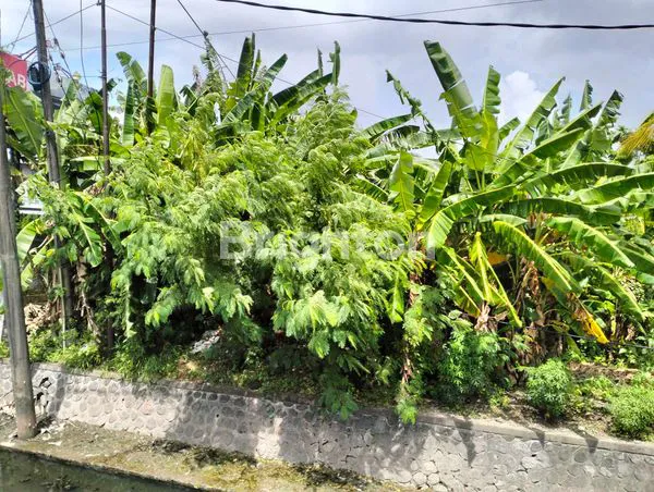 image DI JUAL TANAH LUAS 22 ARE BY PASS SUWUNG (2)