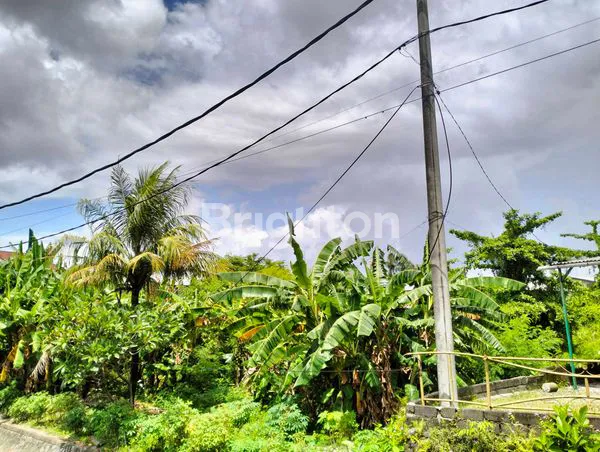 image DI JUAL TANAH LUAS 22 ARE BY PASS SUWUNG (6)