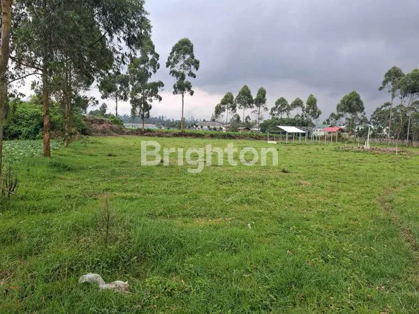 image LAHAN STRATEGIS 4.890 M², SURAT SHM, IDEAL UNTUK INVESTASI (1)