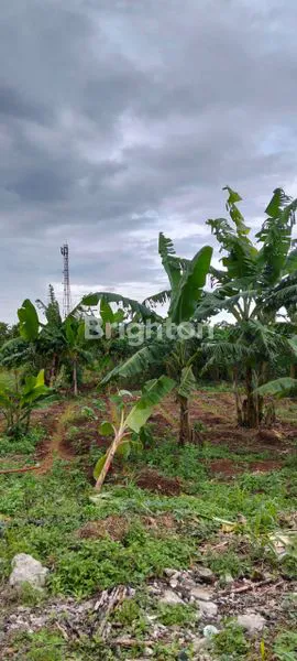 image DIJUAL TANAH SAREAL LOKASI PREMIUM KOTA BOGOR BARAT (1)