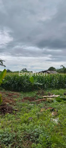 image DIJUAL TANAH SAREAL LOKASI PREMIUM KOTA BOGOR BARAT (2)