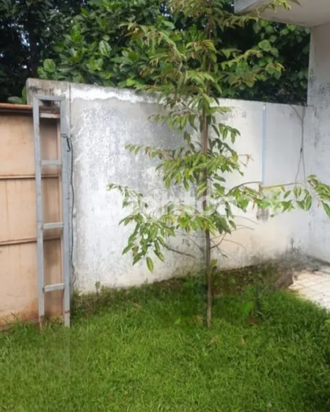 image GUDANG SEWA GUNUNG SINDUR - BOGOR (6)