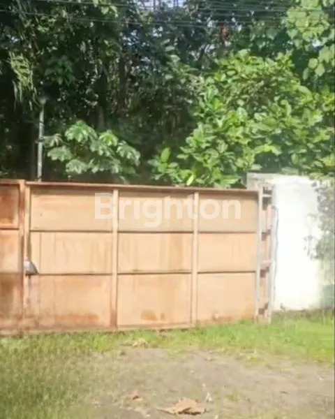 image GUDANG SEWA GUNUNG SINDUR - BOGOR (3)