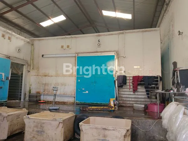 image GUDANG COLD STORAGE DI SAFE LOCK SIDOARJO (5)