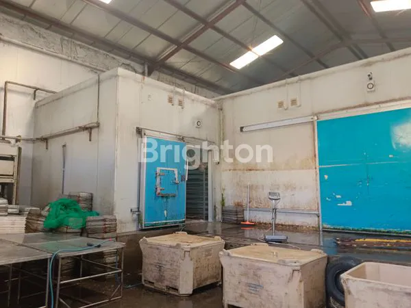 image GUDANG COLD STORAGE DI SAFE LOCK SIDOARJO (4)