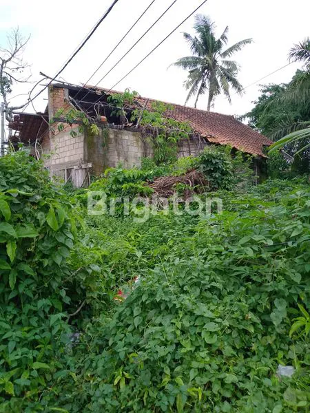 image RUMAH DAN TANAH DIJUAL (3)
