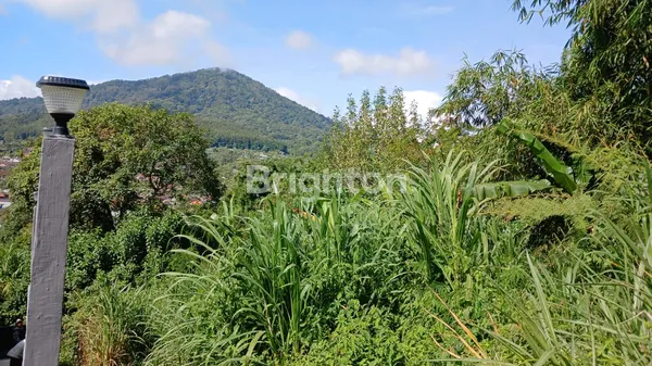 image DIJUAL: LAHAN STRATEGIS 5.625 M² DI CANDIKUNING – POTENSI PENGEMBANGAN WISATA TERPADU (KONSEP DESA WISATA) (2)
