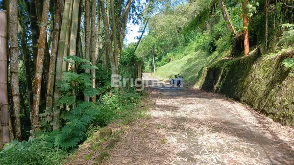 image DIJUAL: LAHAN STRATEGIS 5.625 M² DI CANDIKUNING – POTENSI PENGEMBANGAN WISATA TERPADU (KONSEP DESA WISATA) (5)