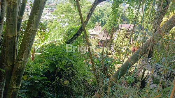 image DIJUAL: LAHAN STRATEGIS 5.625 M² DI CANDIKUNING – POTENSI PENGEMBANGAN WISATA TERPADU (KONSEP DESA WISATA) (6)