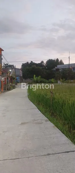 image TANAH MURAH MERIAH DEKAT IPB DRAMAGA BOGOR (7)