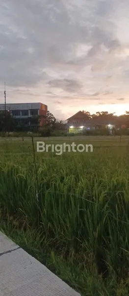 image TANAH MURAH MERIAH DEKAT IPB DRAMAGA BOGOR (6)