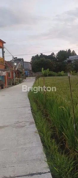 image TANAH MURAH MERIAH DEKAT IPB DRAMAGA BOGOR (8)