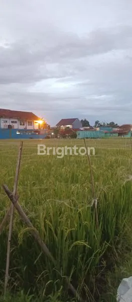 image TANAH MURAH MERIAH DEKAT IPB DRAMAGA BOGOR (3)