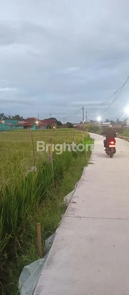 image TANAH MURAH MERIAH DEKAT IPB DRAMAGA BOGOR (2)