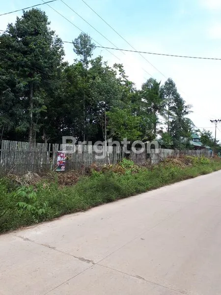 image INVESTASI LAHAN KEBUN LUAS 2.250M² SIAP BANGUN , LOKASI MAKROMAN (1)