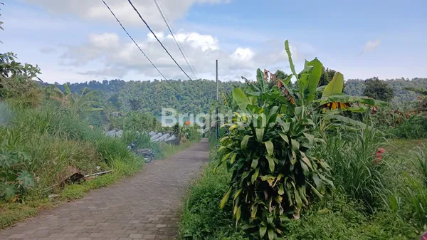 image DIJUAL: LAHAN EKSKLUSIF 935 M² DENGAN VIEW SPEKTAKULER DANAU BUYAN – PANCASARI (1)