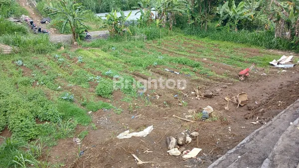 image DIJUAL: LAHAN EKSKLUSIF 935 M² DENGAN VIEW SPEKTAKULER DANAU BUYAN – PANCASARI (5)