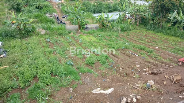 image DIJUAL: LAHAN EKSKLUSIF 935 M² DENGAN VIEW SPEKTAKULER DANAU BUYAN – PANCASARI (7)