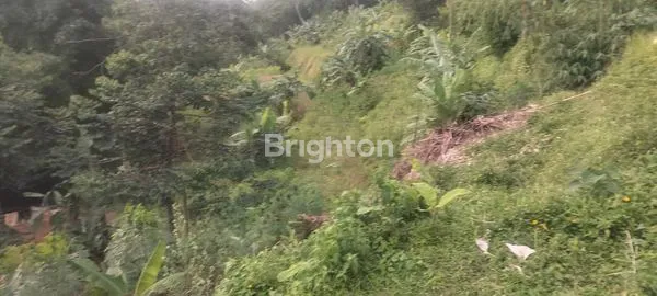 image INVESTASI TANAH BOGOR, 14.000M², LOKASI NYAMAN & STRATEGIS (7)