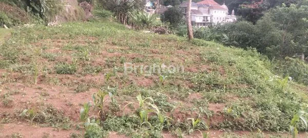 image INVESTASI TANAH BOGOR, 14.000M², LOKASI NYAMAN & STRATEGIS (6)