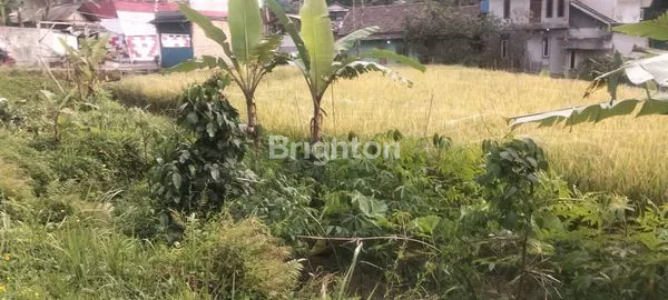 image INVESTASI TANAH BOGOR, 14.000M², LOKASI NYAMAN & STRATEGIS (5)