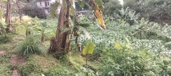 image INVESTASI TANAH BOGOR, 14.000M², LOKASI NYAMAN & STRATEGIS (2)