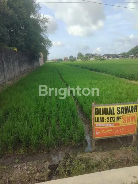 image TANAH LUAS 2.167 M² LOKASI DELANGGU ,STRATEGIS PINGGIR JALAN BESAR (4)