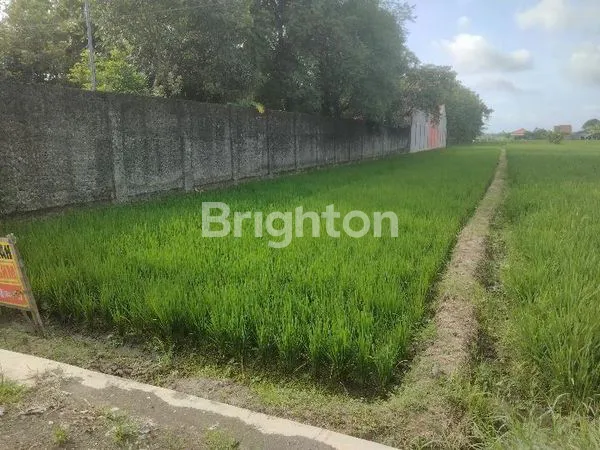 image TANAH LUAS 2.167 M² LOKASI DELANGGU ,STRATEGIS PINGGIR JALAN BESAR (3)