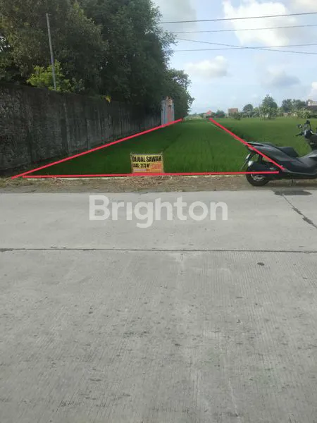 image TANAH LUAS 2.167 M² LOKASI DELANGGU ,STRATEGIS PINGGIR JALAN BESAR (7)