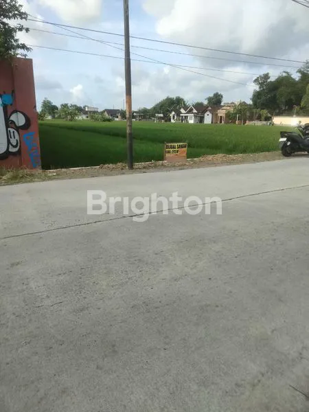 image TANAH LUAS 2.167 M² LOKASI DELANGGU ,STRATEGIS PINGGIR JALAN BESAR (6)