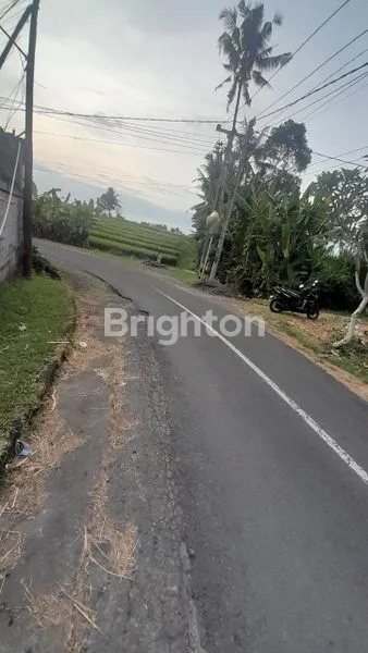 image DI JUAL TANAH (2)