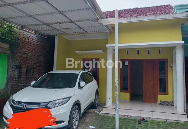 image SEWA RUMAH DEKAT UNDIP (1)