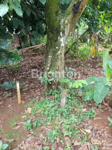 image INVESTASI TANAH 260M² DI BSD CITY, AKSES MUDAH & STRATEGIS (3)