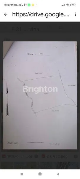 image TANAH LUAS DI BULELENG BALI (3)