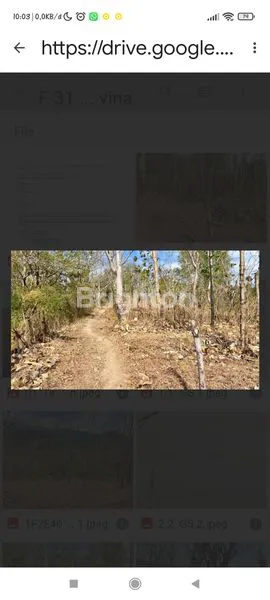 image TANAH LUAS DI BULELENG BALI (1)