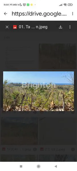 image TANAH LUAS DI BULELENG BALI (4)