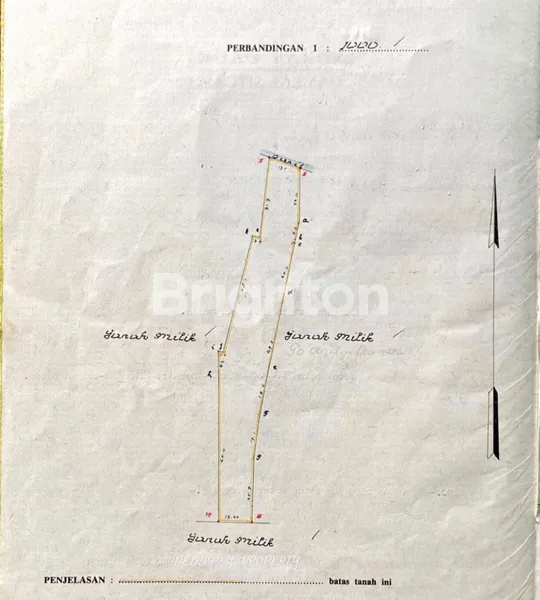 image TANAH KOMERSIL PREMIUM STRATEGIS JALAN UTAMA KUTA BALI (6)