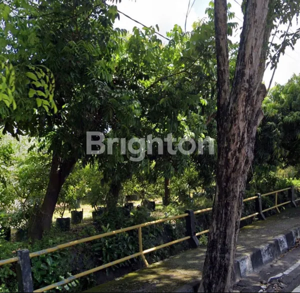 image TANAH KOMERSIL PREMIUM STRATEGIS JALAN UTAMA KUTA BALI (7)