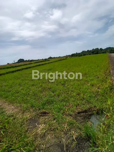 image TANAH LUAS 2.800M² VIEW PANTAI DI KERAMBITAN (1)