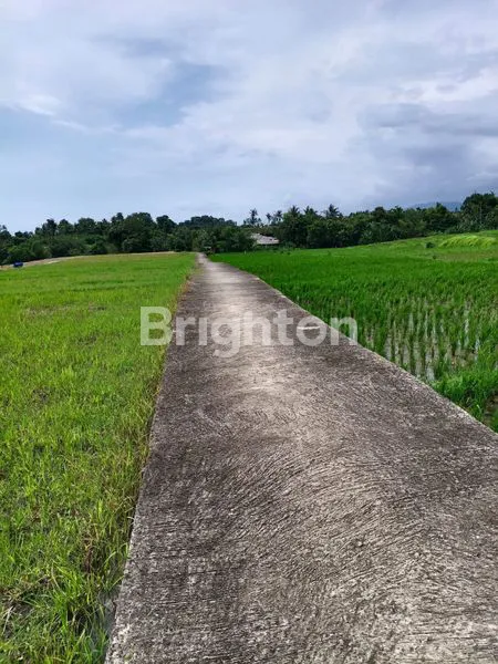 image TANAH LUAS 2.800M² VIEW PANTAI DI KERAMBITAN (2)