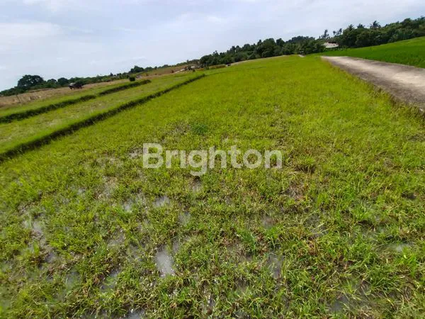 image TANAH LUAS 2.800M² VIEW PANTAI DI KERAMBITAN (6)