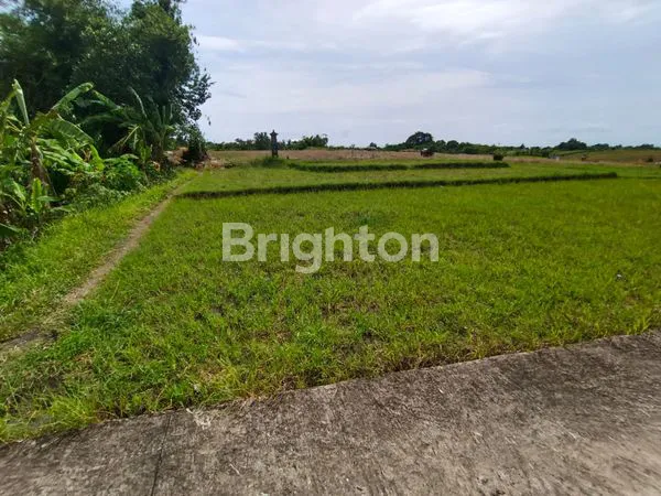 image TANAH LUAS 2.800M² VIEW PANTAI DI KERAMBITAN (4)